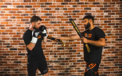 Martial Arts and a Successful Mindset