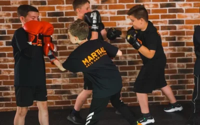 The Mindset of a Martial Artist