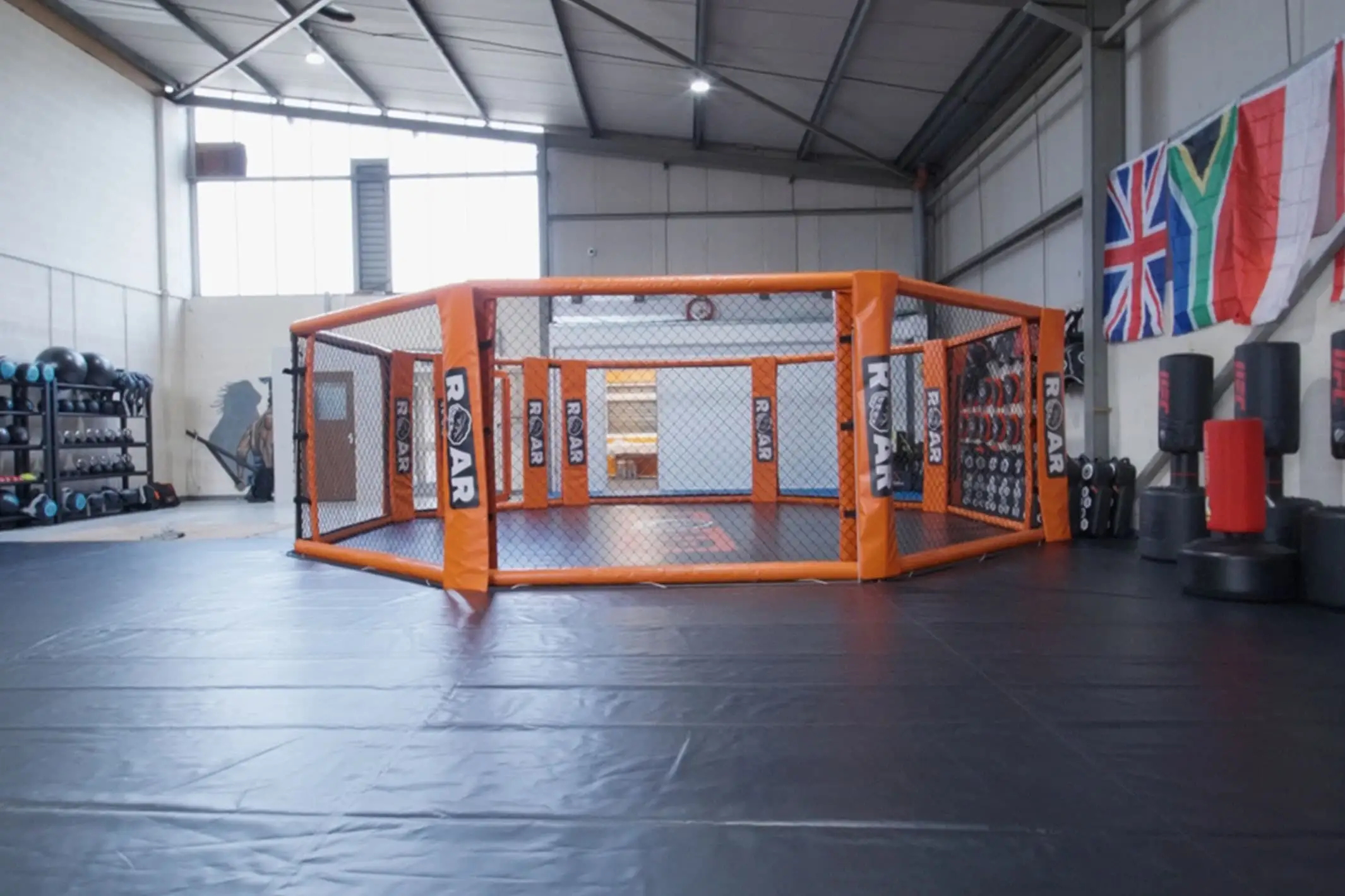 Spacious Roar Martial Arts facility featuring an MMA cage and weights