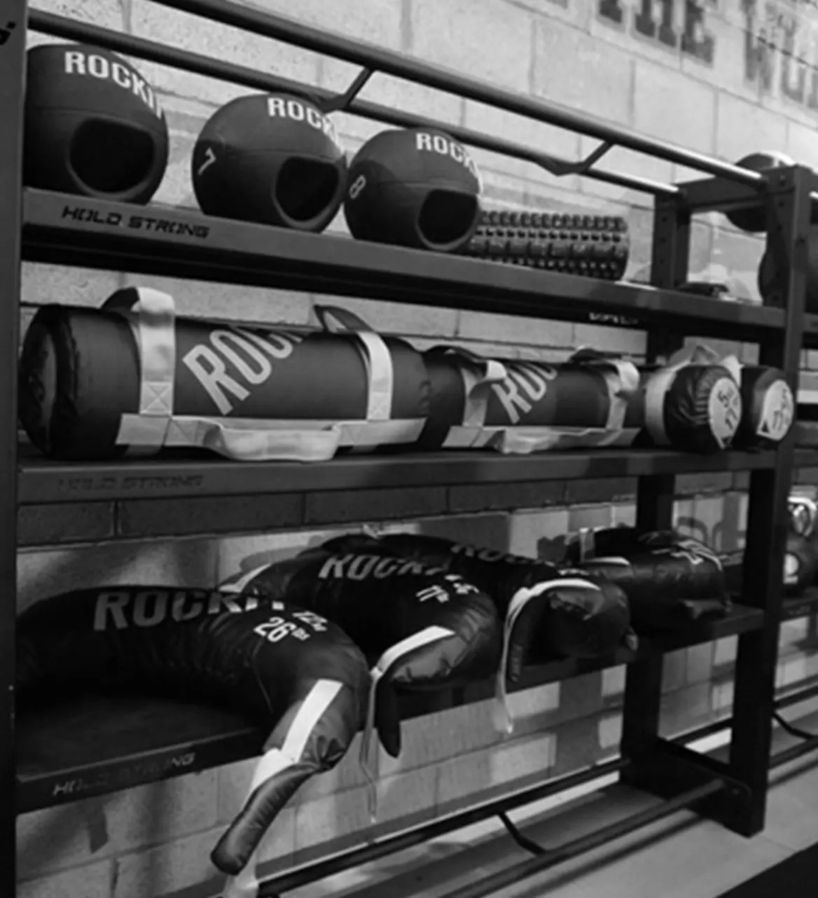 Gym equipment rack with medicine balls, sandbags and training weights